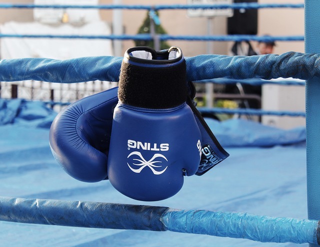 kokeshi75-boxing-2822129_640